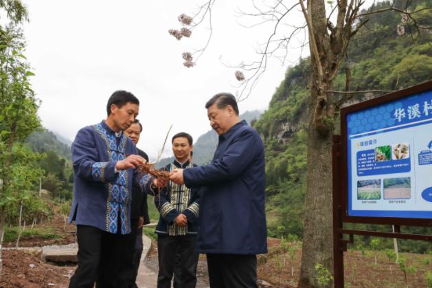 360截图20190417103910336.jpg