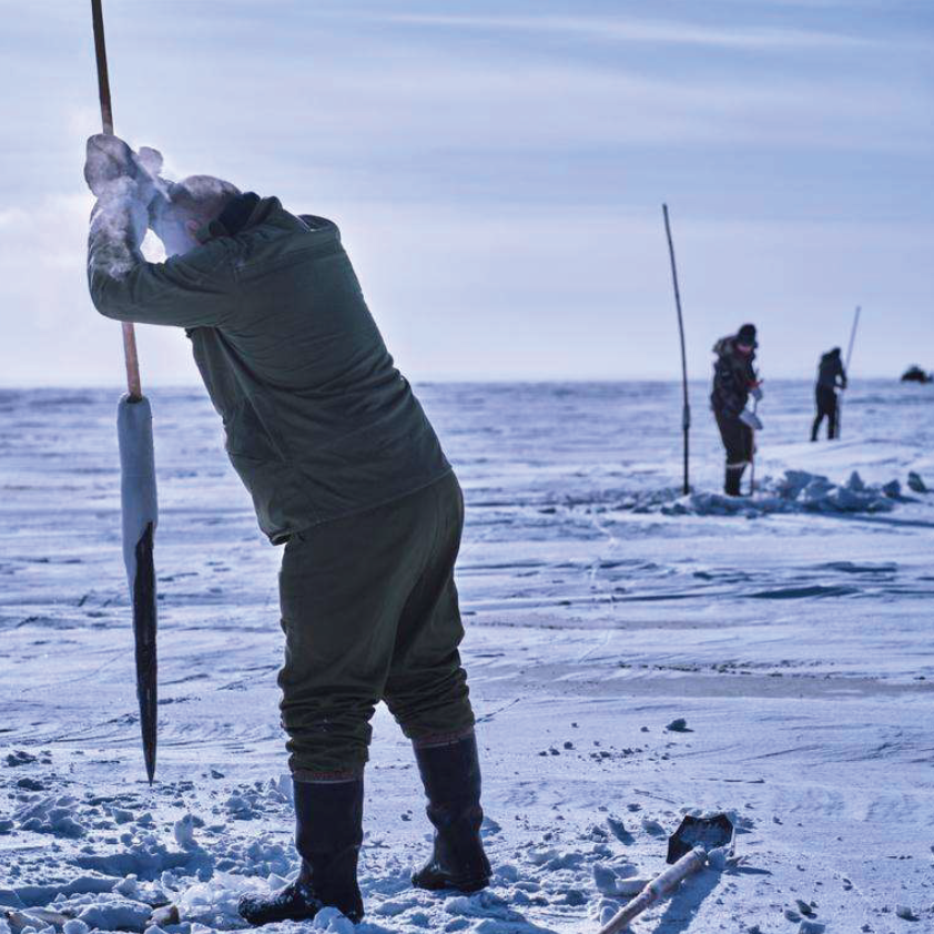 1615447905329087974.png image.png