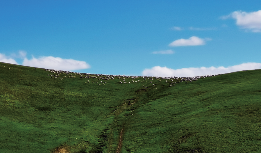 1615448426610034165.png image.png