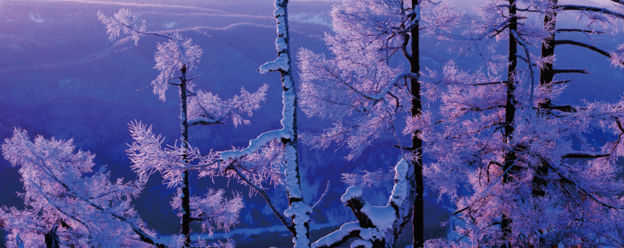 1615450683095049857.png image.png