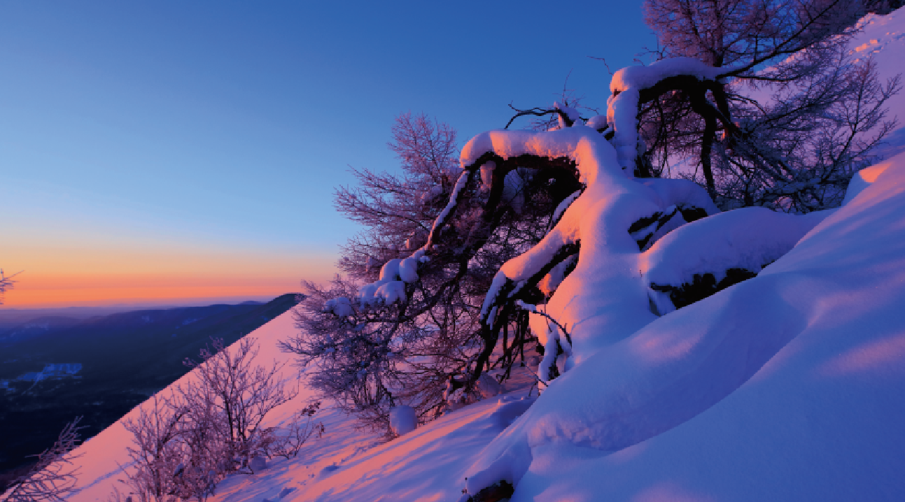 1615450708485044313.png image.png