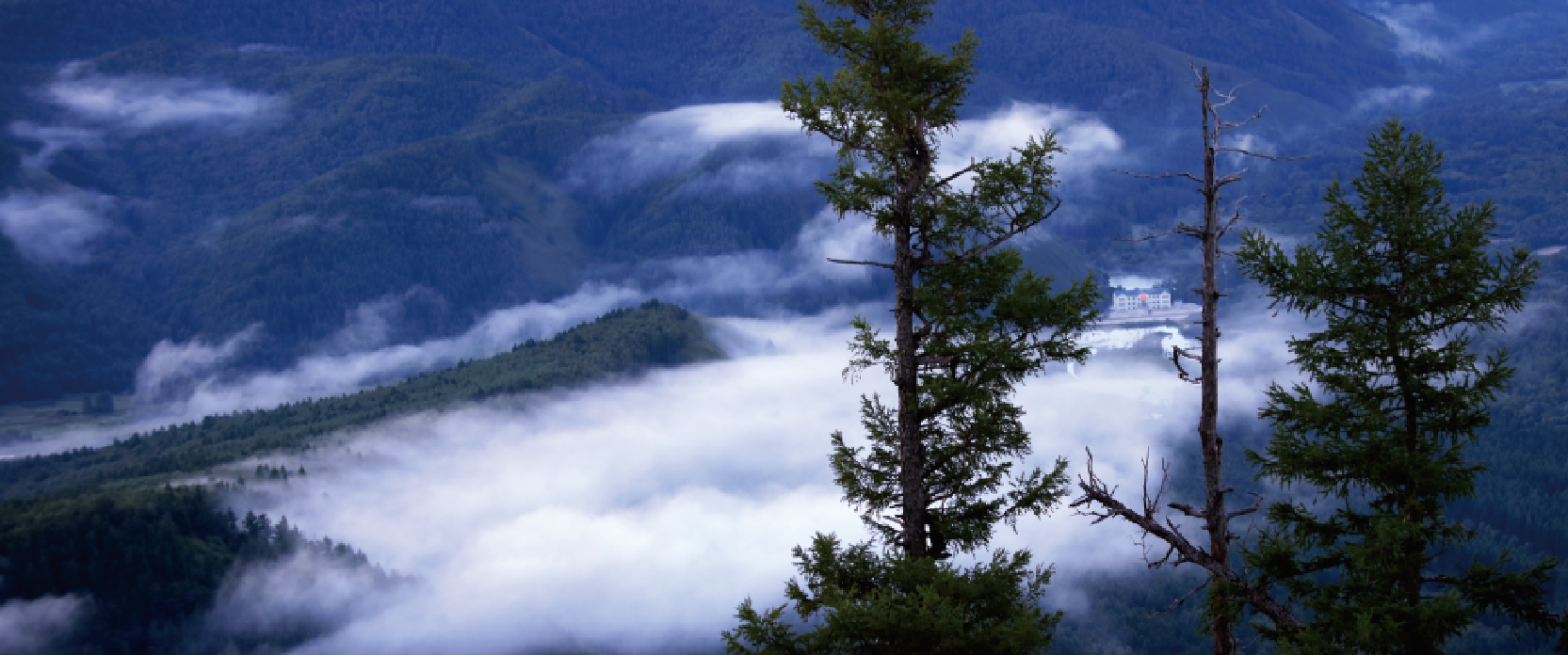 1615450743845063228.png image.png