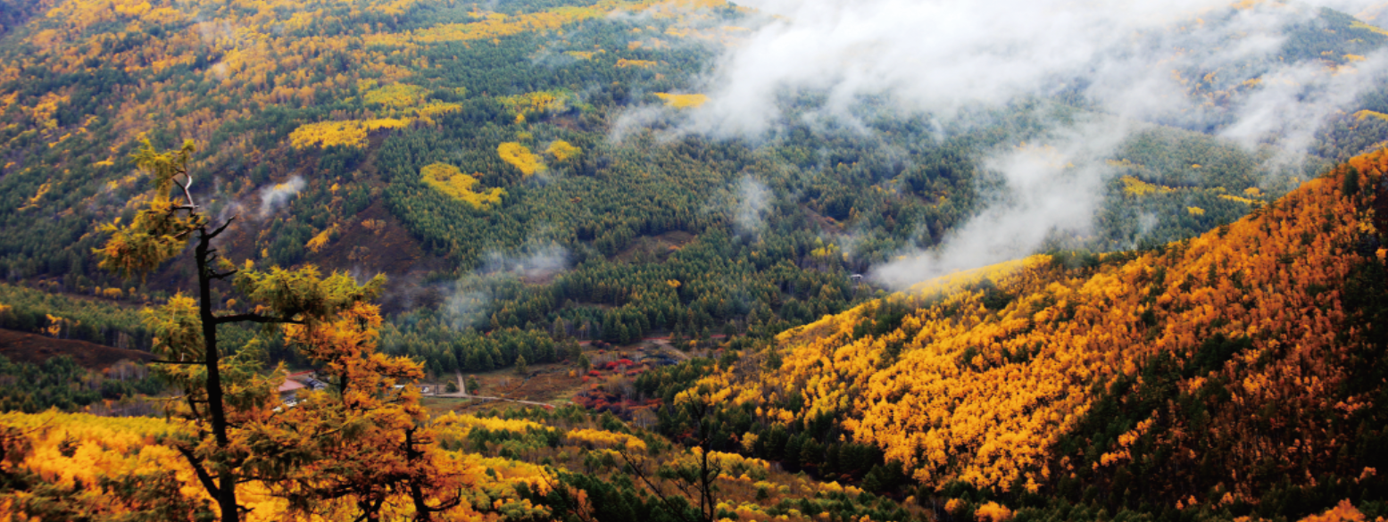 1615450769564095193.png image.png